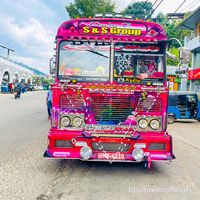 dham_rejini_official
