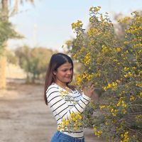 cozybutterfly25