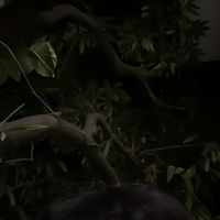 _username11_31