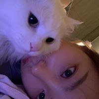 오리지널 사운드 - 꾸이