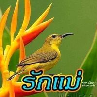 เสียงต้นฉบับ - ແກ່ນຈັນ. ຈັນທະວົງ