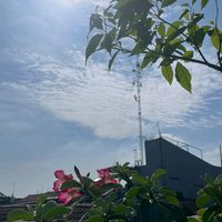 suara asli - dhandayani75