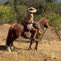 panchito.flores0
