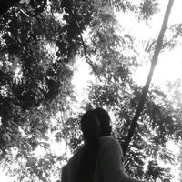 original sound