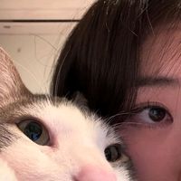 kitty_offc7