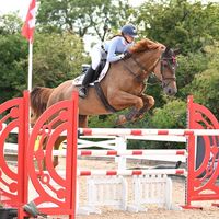 dperrin.showjumping