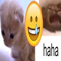 ilyyaly_