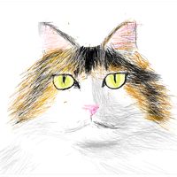 オリジナル楽曲 - ハム~