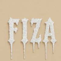 elevatedfiza