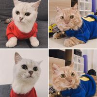 nong_chamai