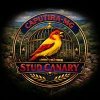 studcanary