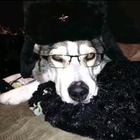 anastasia_35790