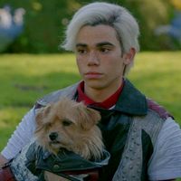 thecameronboyce01