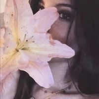 lolo_yvk