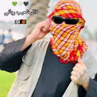 zall_5_lion__2