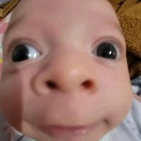 udhpotosamastellah2h