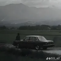 original sound - flkj17