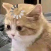 suara asli - Maybe Sam