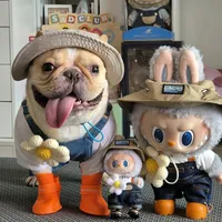 original sound - meetung_thefrenchie