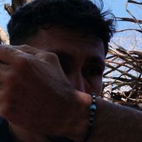 luisdominguez4202