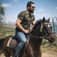 الصوت الأصلي