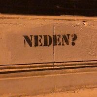 orijinal ses