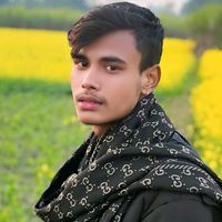 dimpl208