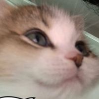 _.so18