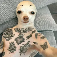 original sound - seeyouagain_later