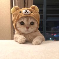 milkcoffee10