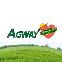 original sound - AgwayYan
