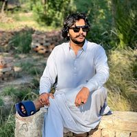 syedaurangzaibshah110