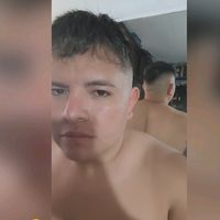 soylinoalv
