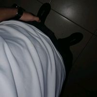 _08103177