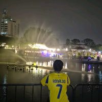 davo536_