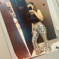 _vanelux