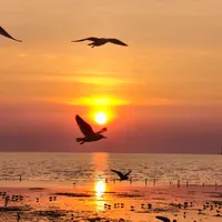 original sound - naramoomoo