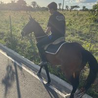 biel_fernandes_ba