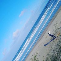 オリジナル楽曲 - MILKココア