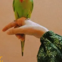 original sound - mehwishimranauu
