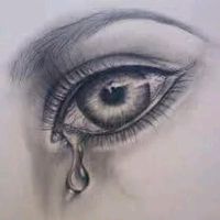 usershaikshameem