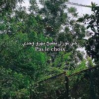 الصوت الأصلي