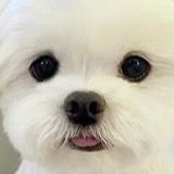 오리지널 사운드 - 몽