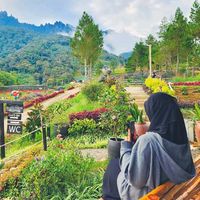 sarjay_ss