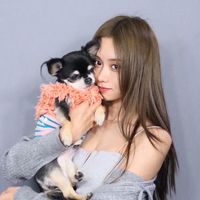 harinezumi_dan_