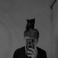 stalyn.msr