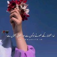 shafaqkhan723