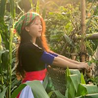 nhạc nền - puw🐣