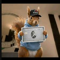 clipscopa.d