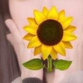 オリジナル楽曲 - 向日葵🌻